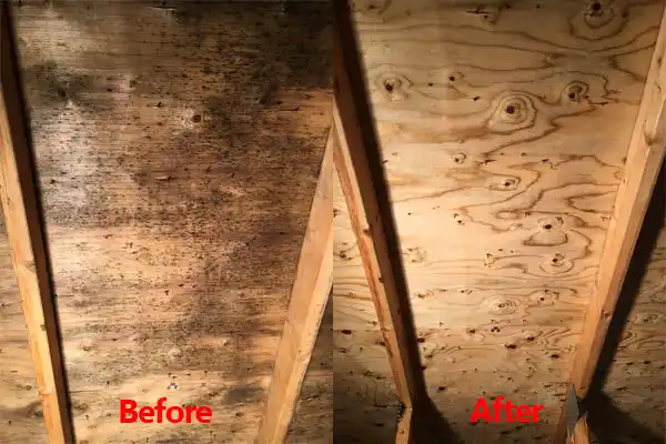 water damage restoration service Chalco